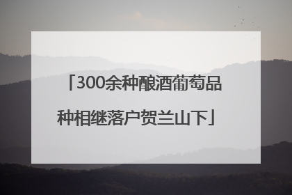 300余种酿酒葡萄品种相继落户贺兰山下