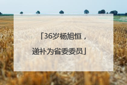 36岁杨旭恒，递补为省委委员