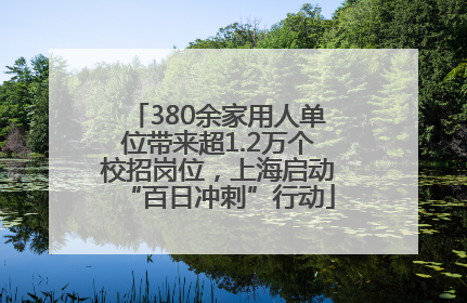 380余家用人单位带来超1.2万个校招岗位，上海启动“百日冲刺”行动