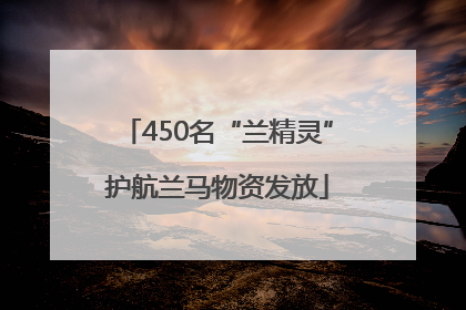 450名“兰精灵”护航兰马物资发放