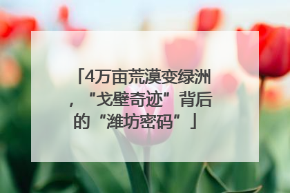 4万亩荒漠变绿洲，“戈壁奇迹”背后的“潍坊密码”