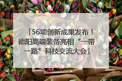 56项创新成果发布！德阳高端装备亮相“一带一路”科技交流大会