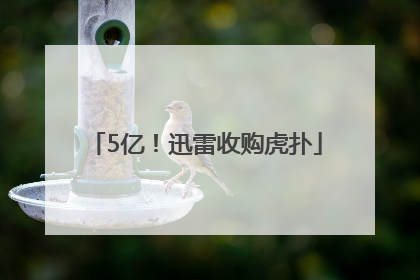 5亿！迅雷收购虎扑