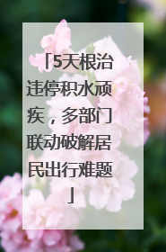 5天根治违停积水顽疾，多部门联动破解居民出行难题