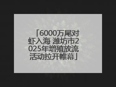 6000万尾对虾入海 潍坊市2025年增殖放流活动拉开帷幕