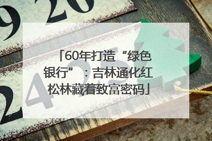 60年打造“绿色银行”：吉林通化红松林藏着致富密码