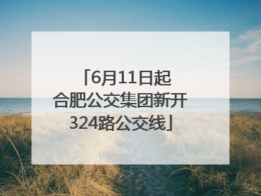 6月11日起 合肥公交集团新开324路公交线
