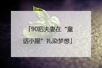 90后夫妻在“童话小屋”扎染梦想