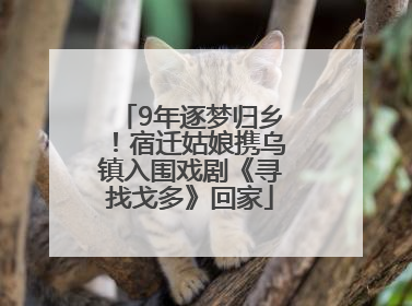 9年逐梦归乡！宿迁姑娘携乌镇入围戏剧《寻找戈多》回家