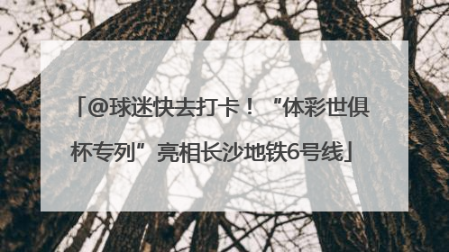 @球迷快去打卡！“体彩世俱杯专列”亮相长沙地铁6号线