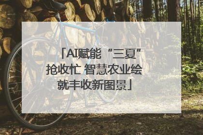 AI赋能“三夏”抢收忙 智慧农业绘就丰收新图景