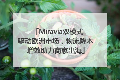 Miravia双模式驱动欧洲市场，物流降本增效助力商家出海