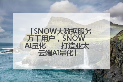 SNOW大数据服务万千用户，SNOW AI量化——打造亚太云端AI量化