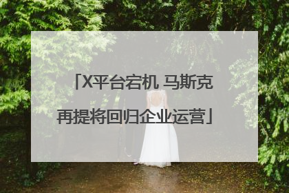 X平台宕机 马斯克再提将回归企业运营